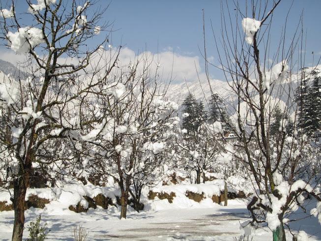 ホテル Treebo Trend Celebriti Manali Vashist エクステリア 写真