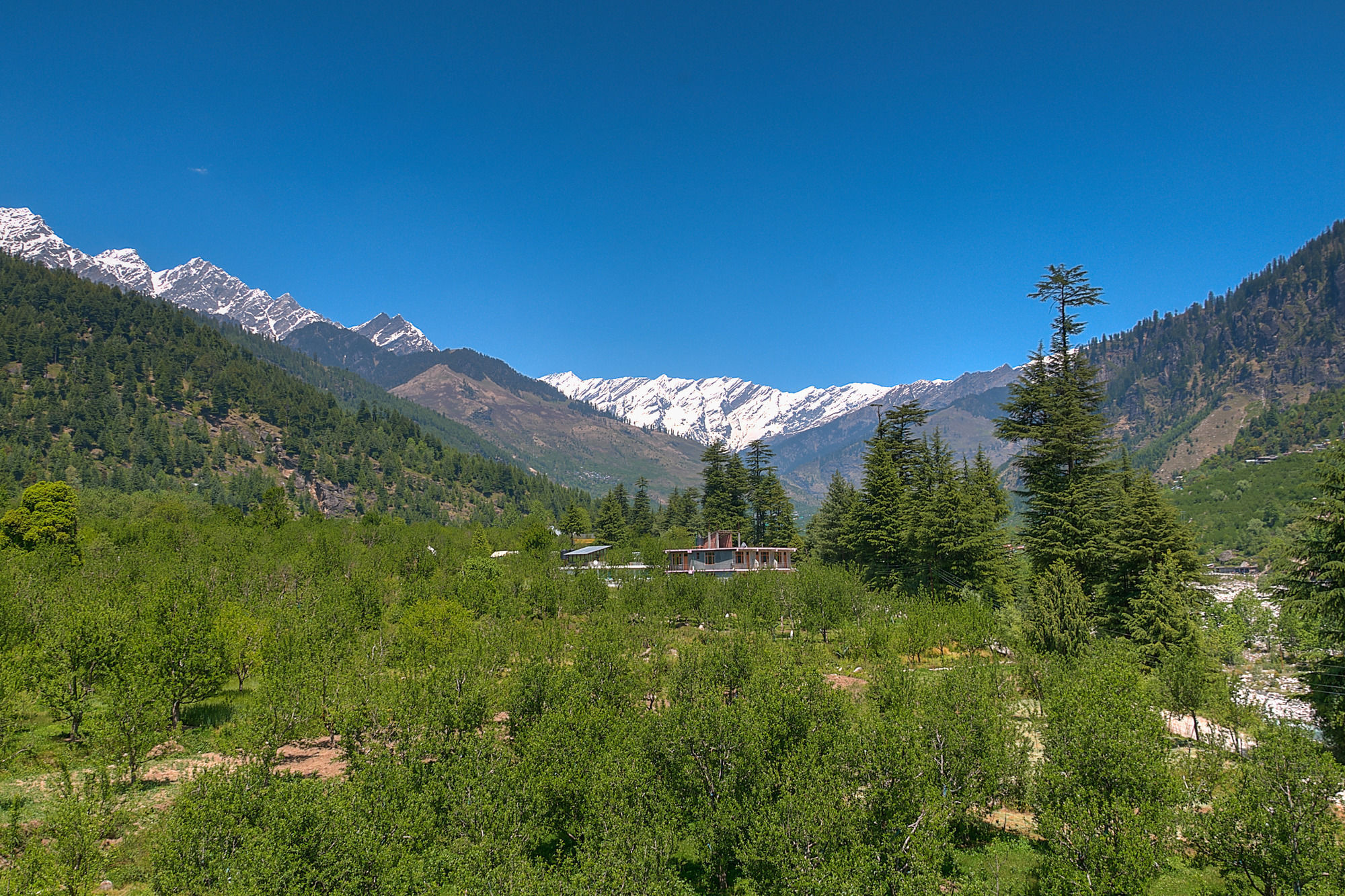 ホテル Treebo Trend Celebriti Manali Vashist エクステリア 写真